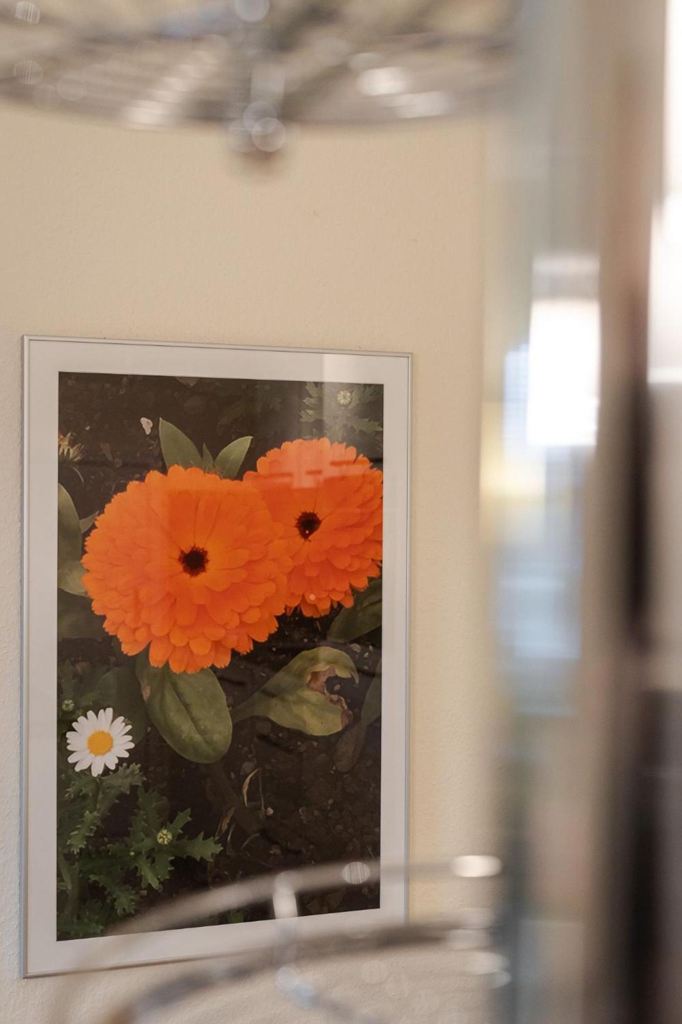 Fewo Ringelblume List Exteriör bild